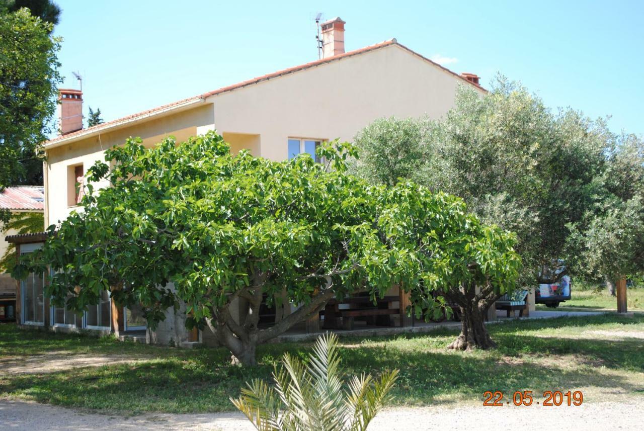 Villa Mas De La Vignassa Le Soler Esterno foto
